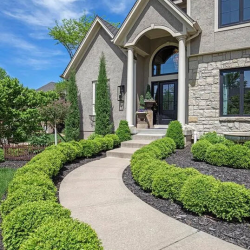 Open Houses