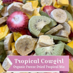 Freeze Dried Fruits and Gourmet Nuts