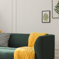 Residential Interior Painting