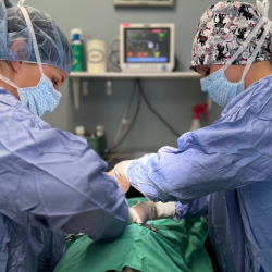 Surgery