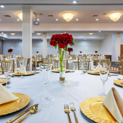 Meetings & Events