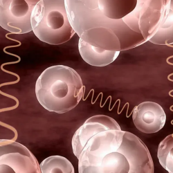 Pulsed Electromagnetic Field Therapy