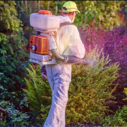 Lawn and Landscape Pest-Free