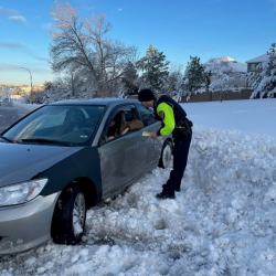 Report An Auto Accident