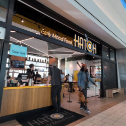 Hatch Your Own Business