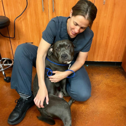 Nutritional Counseling