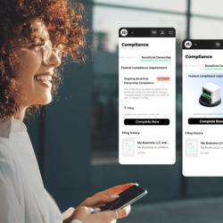 Beneficial Ownership Information Filing Service