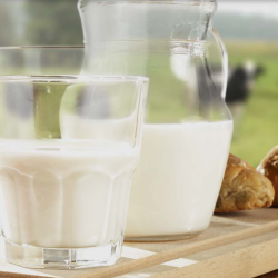 Milk