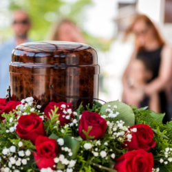 Cremation & memorialization services