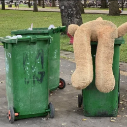 Trash Bin Cleaning
