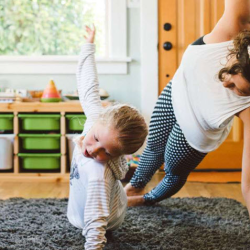 Health Savings Account (HSA)