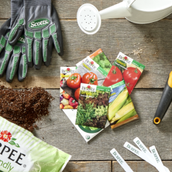 Garden & Outdoor Living