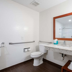 Accessible Amenities