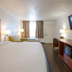 Book a Room