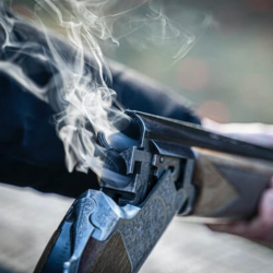 Shotguns