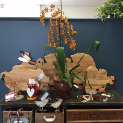 The Art Garden Programs