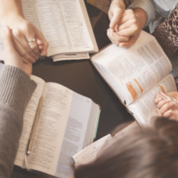 Growth and Fellowship