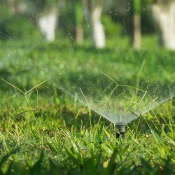Sprinkler Systems
