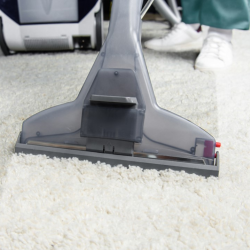 Carpet Cleaning