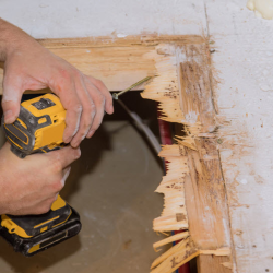 Restoration – 24/7 Emergency Response