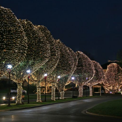 Commercial Christmas Lighting