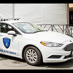 Vehicle Patrol