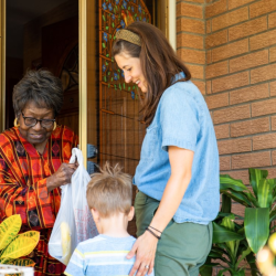 Care Navigators