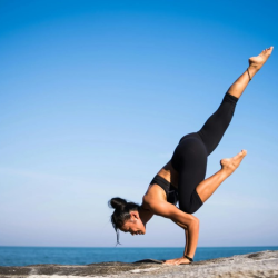 Wellness Care