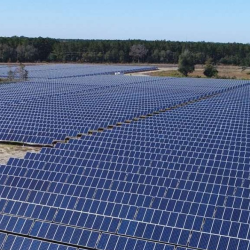 Environmental Sustainability Solutions & Consulting
