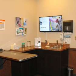 Wellness Exams