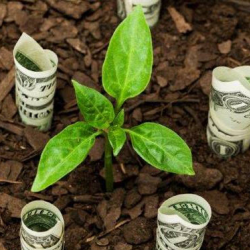 Wealth Management