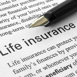 Insurance Services