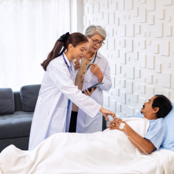 Palliative Care