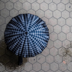 Umbrella Liability Insurance