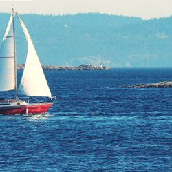 Portfolio Management