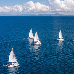 Investment Strategies