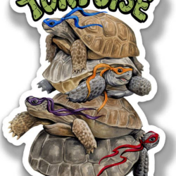 Ninja Tortoise Giant Magnet