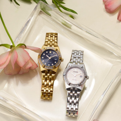 Watch Cleaning