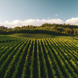 Agriculture Banking