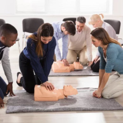 AHA BLS Provider Renewal Course