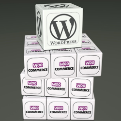 WordPress eCommerce