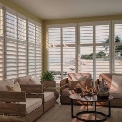 Window Shutters