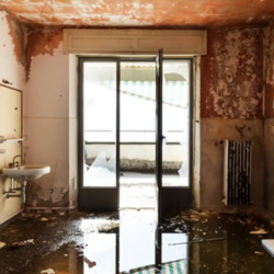 Water Damage Cleanup & Repair
