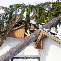 Storm Damage Restoration