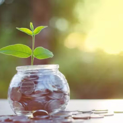 Financial Health