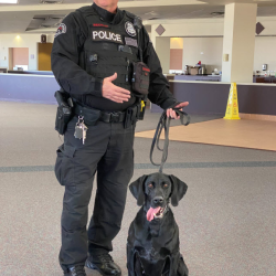 Airport Security