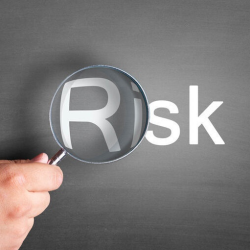 Fraud Risk Assessment