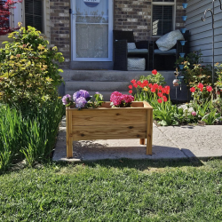 Cedar Planter Boxes