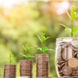 Plans Built for Your Success