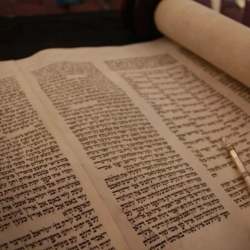 Saturday Morning Torah Study 8:30 AM